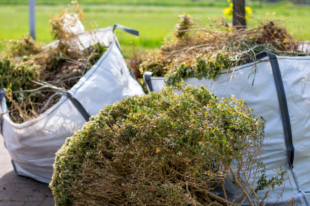 Commercial Cleanout Services in Benld, IL