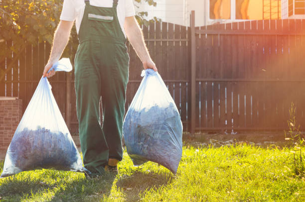 Best Estate Cleanout Services  in Benld, IL