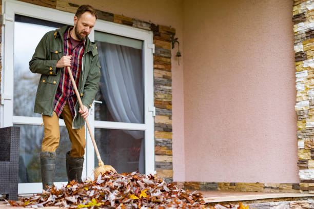 Best Office Junk Removal  in Benld, IL